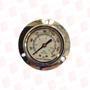 PIC GAUGES 304L-204F