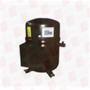 BRISTOL COMPRESSORS T81J384CBCA