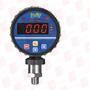 ICON PROCESS CONTROLS PPS-10-PP-F-V