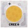 CREE CXA1520-0000-000N00P240F