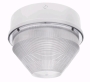 RAB LIGHTING VANGF42QTW/E2