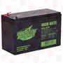 INTERSTATE BATTERIES HSL1079