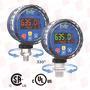 ICON PROCESS CONTROLS PPT-X-PF-F