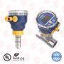 ICON PROCESS CONTROLS TI3M-SS-L